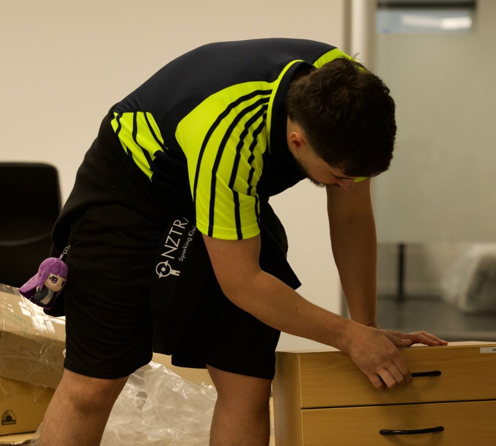 Furniture Moving