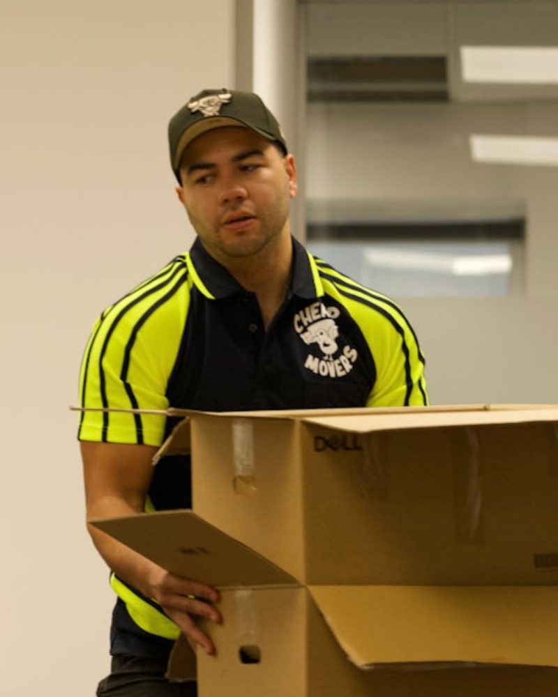 Reliable Moving Services Across Auckland 2